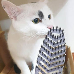 Premium Eco-Friendly Pet Care EL AMIGO Pet Brush - Silver Pearl