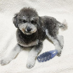 Premium Eco-Friendly Pet Care EL AMIGO Pet Brush - Silver Pearl