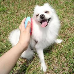 Premium Eco-Friendly Pet Care EL AMIGO Pet Brush - BLUMING